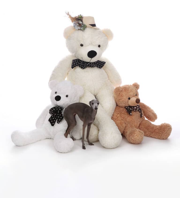 דובי ענק - במשלוח לכל הארץ במחיר הזול בישראל | Plush Toys