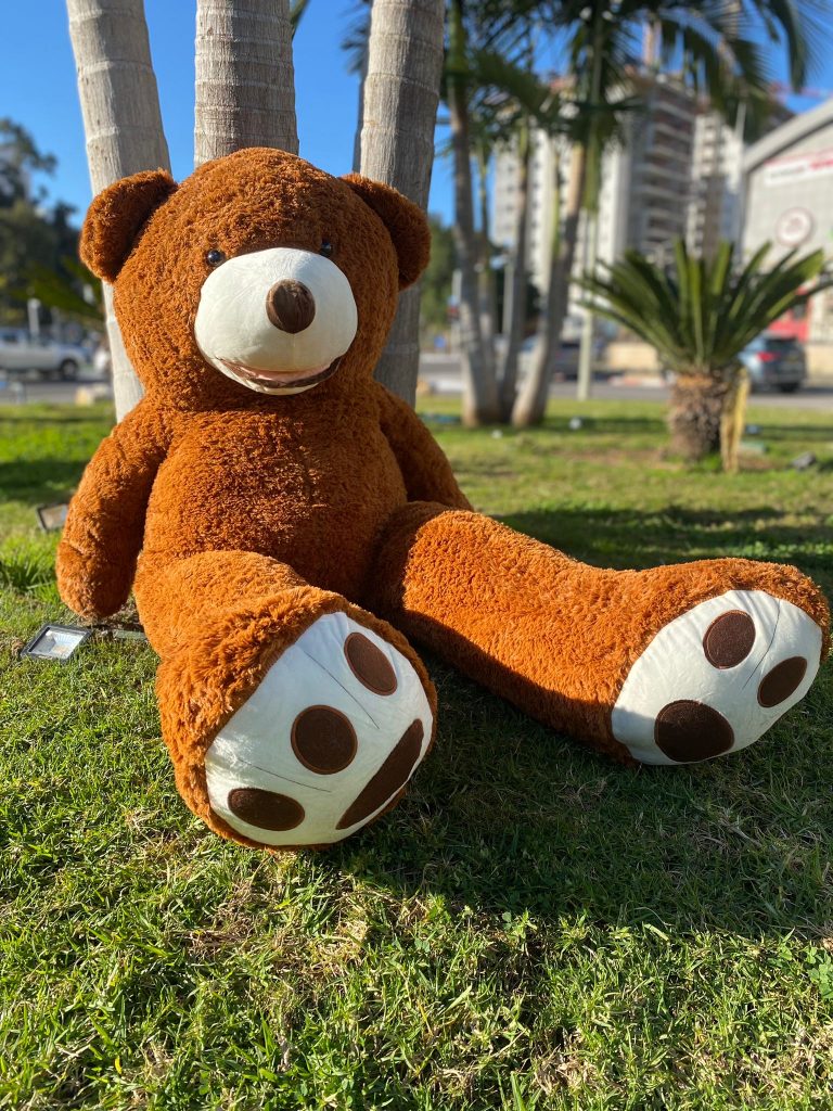 דובי ענק למתגייסת הטרייה